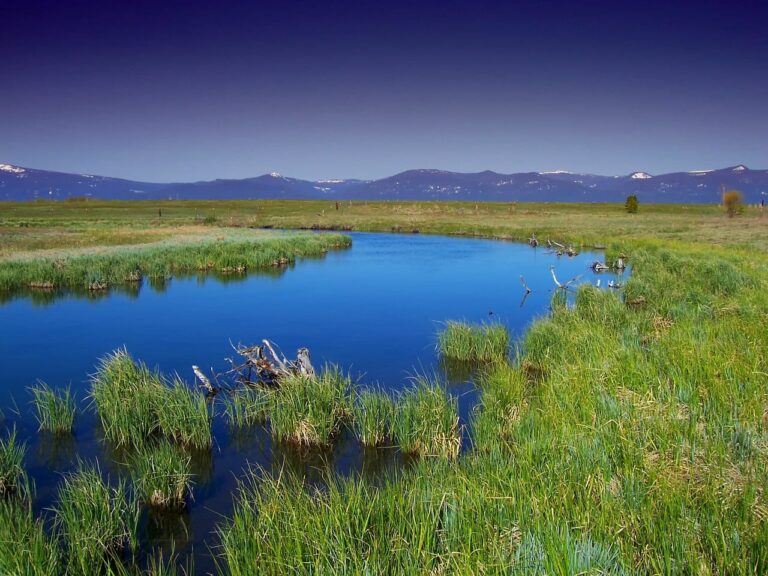 Learn About Land Use Legislation in 2021