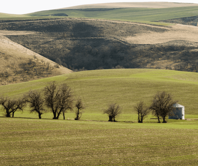 SOCAN’s 7th Annual Master Climate Protector Course begins February 2022