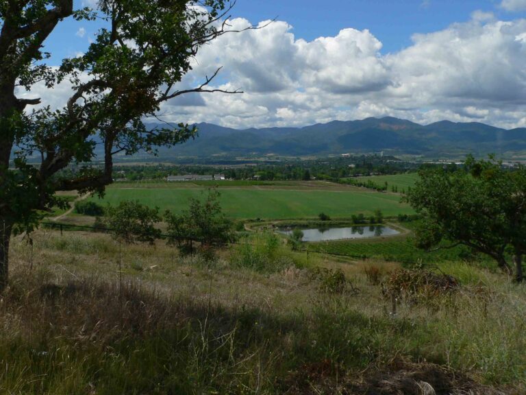 Mail Tribune Guest View: Fight to protect farm and forest lands turns 30