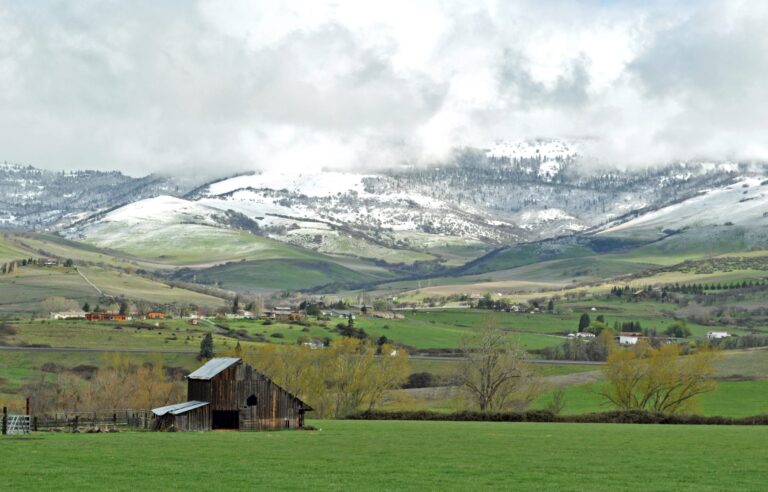 Rogue Advocates Appeals Ashland Annexation