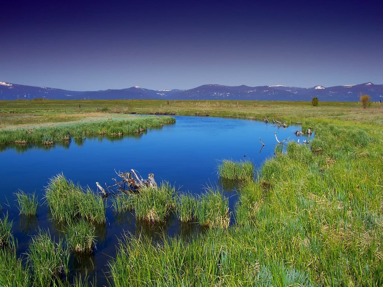 Learn About Land Use Legislation in 2021